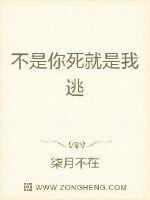 不是你死就是我逃